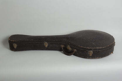 Gibson K-1 Carved Top Mandocello (1915)