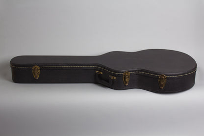 Guild T-100D Slim Jim Thinline Hollow Body Electric Guitar (1958)