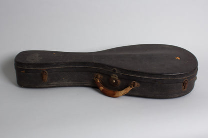 Favilla Flat Back, Bent Top Mandolin (1920s)
