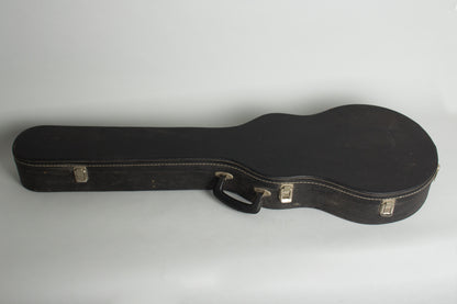 Steve Carr Mini-335 Owned and used by Elliott Sharp Semi-Hollow Body Electric Guitar (1981)