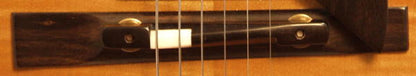 D'Aquisto Jazz Master Semi-Hollow Body Electric Guitar (1987)
