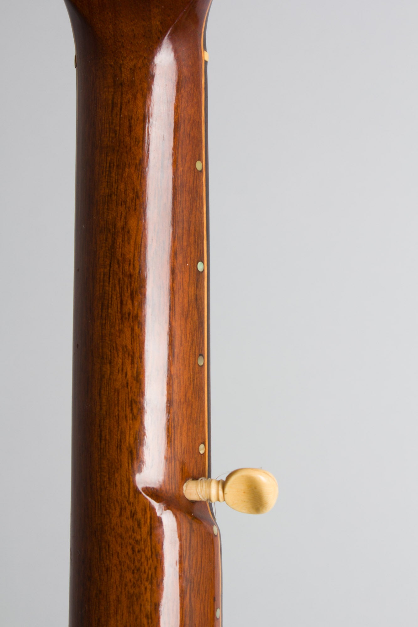 unlabelled 7 String Fretless Banjo (1890)