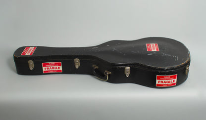 Gibson Barney Kessel Custom Arch Top Hollow Body Electric Guitar (1966)