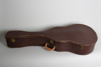 Harmony Silvertone H-61 Arch Top Hollow Body Electric Guitar (1958)