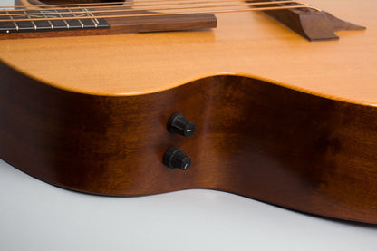 Taylor Klein AB-1 Acoustic-Electric Bass Guitar (1996)