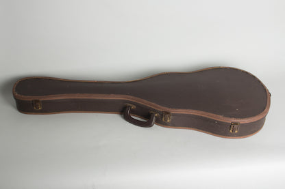 Guild M-65 Freshman Owned and Used by Elliott Sharp Thinline Hollow Body Electric Guitar (1962)