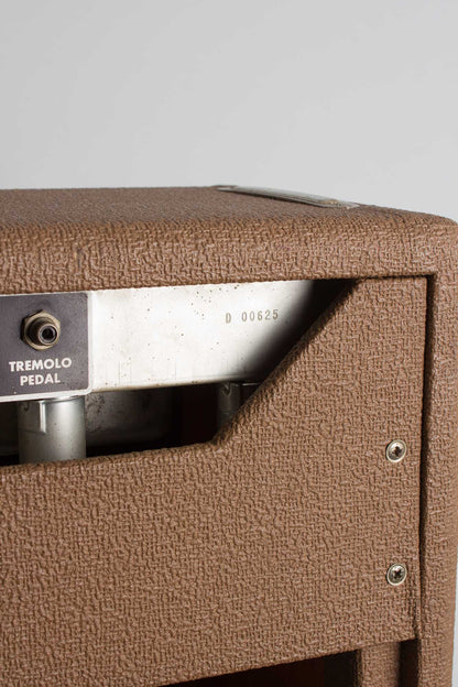 Fender Deluxe 6G3 w/Road Case Tube Amplifier (1961)