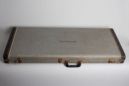 Rickenbacker Model 360/12 Thinline Hollow Body Electric Guitar (1966)