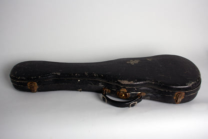 Rickenbacker Silver Hawaiian Lap Steel Electric Guitar (1937)