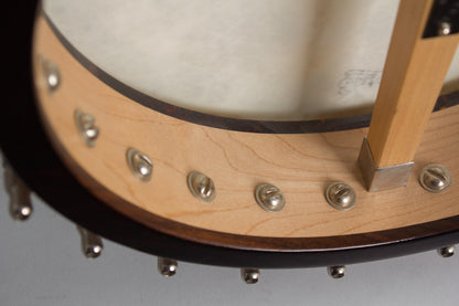 Bart Reiter Special 5 String Banjo (1996)