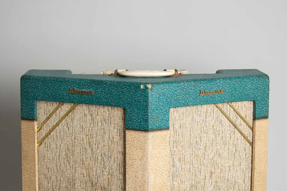 Watkins Dominator Tube Amplifier (1963)