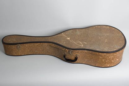 Harmony Patrician H-1414 Arch Top Acoustic Guitar (1954)