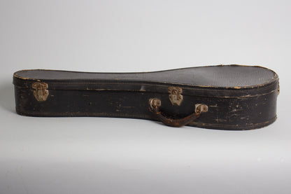 Vivi-Tone Hollow Body Electric Mandolin (1933)