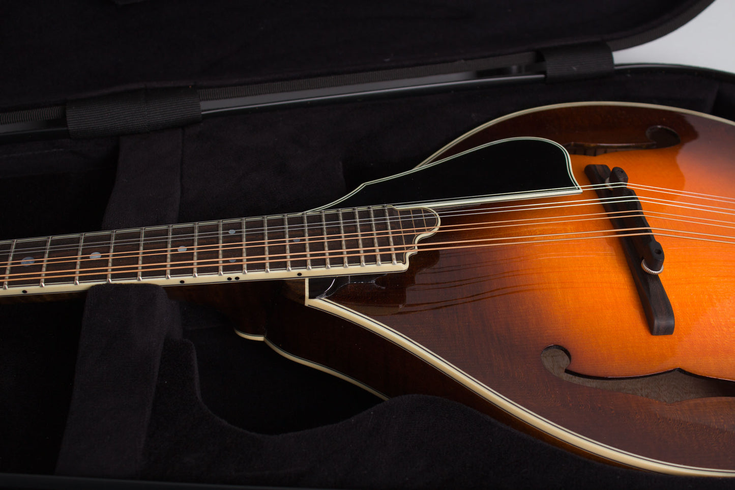 Northfield NFMSP-A5 Carved Top Mandolin (2025)