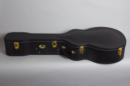 Epiphone Howard Roberts Acoustic/Electric Arch Top Acoustic Guitar (1966)