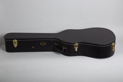 Iris DF Flat Top Acoustic Guitar