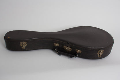 Lyon & Healy Style B Carved Top Mandolin (1919)