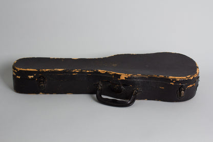 J.R. Stewart & Co. Le Domino Soprano Ukulele (1926)