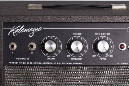 Kalamazoo Model Two Tube Amplifier (1966)