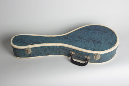 Stradolin Orpheum Style B Arch Top Mandolin (1950)