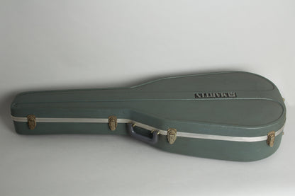C. F. Martin D-18 Flat Top Acoustic Guitar (1976)
