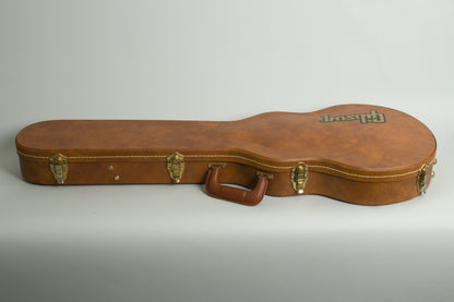 Gibson Les Paul Special Solid Body Electric Guitar (2021)