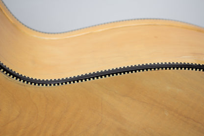 Regal Custom Super Coliseum Arch Top Acoustic Guitar (1939)