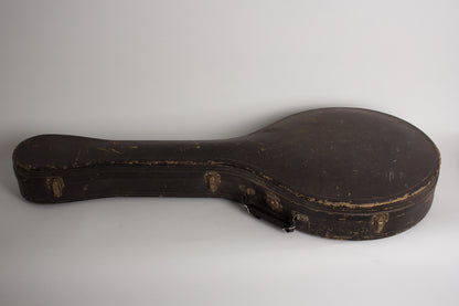 Gibson K-2 Carved Top Mandocello (1913)