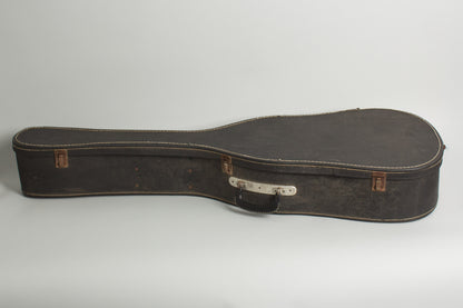 C. F. Martin D-12-20 12 String Flat Top Acoustic Guitar (1966)