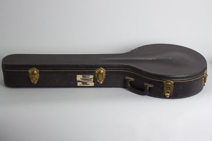 Monteleone Mastertone-style Neck on Alvarez Pot 5 String Resonator Banjo (1970/1973)