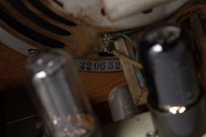 Alamo Amp-3 Embassy Tube Amplifier (1957)