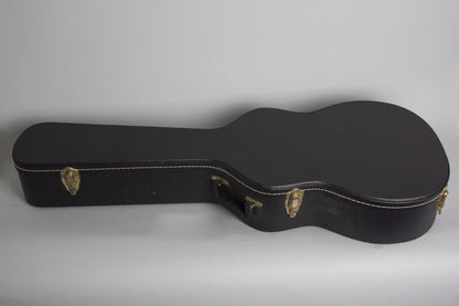 Guild F-20 Flat Top Acoustic Guitar (1966)