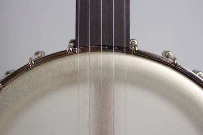 Bart Reiter Dobaphone 5 String Banjo (2020)
