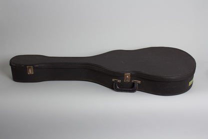 Harmony Silvertone Model 1446L Thinline Hollow Body Electric Guitar (1962)