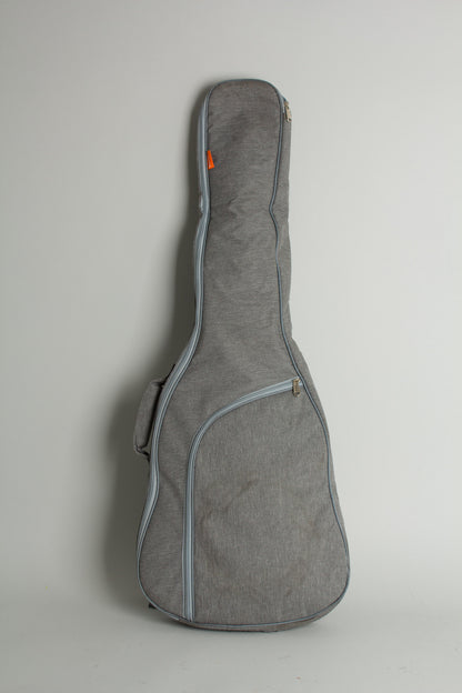 Danelectro Hawk 2N12 12 String Electric Guitar (1966)