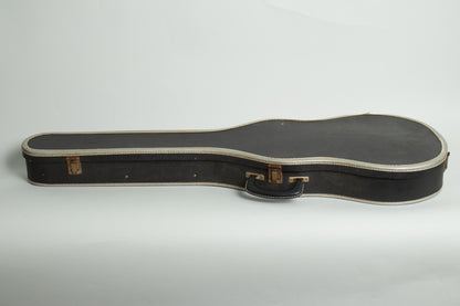 Guild M-65 SB Thinline Hollow Body Electric Guitar (1966)