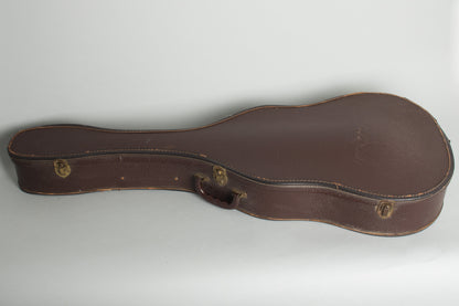 Guild CE-100 Arch Top Hollow Body Electric Guitar (1959)