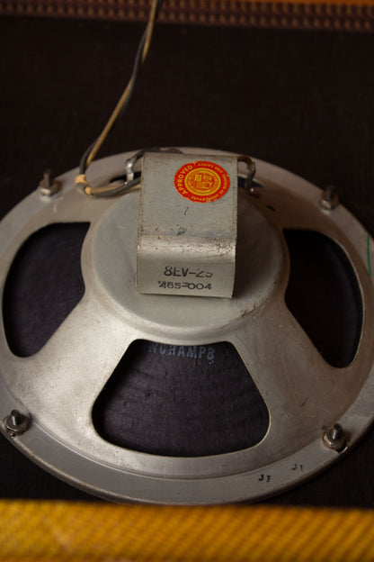 Fender Princeton 5F2-A Tube Amplifier (1960)