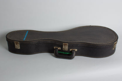 Harmony H-35 Hollow Body Electric Mandolin (1971)