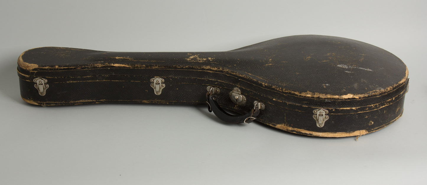 Gibson K-2 Carved Top Mandocello (1914)