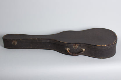 Stromberg-Voisinet Flat Top Acoustic Guitar (1929)
