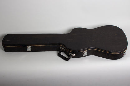 Danelectro Hawk 2N12 12 String Electric Guitar (1967)