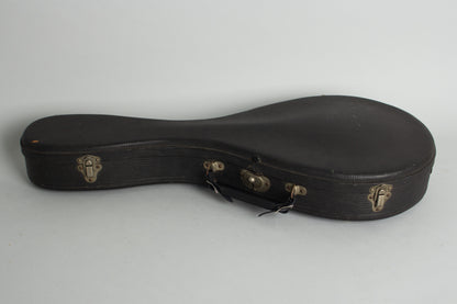 Lyon & Healy Style B Carved Top Mandolin (1919)