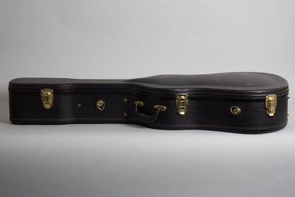 Epiphone Howard Roberts Arch Top Acoustic/Electric Guitar (1966)