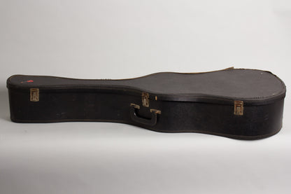 C. F. Martin D-12-20 12 String Flat Top Acoustic Guitar (1967)