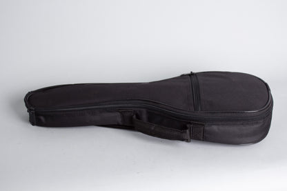 Lyon & Healy American Conservatory Mandolinetto (1912)