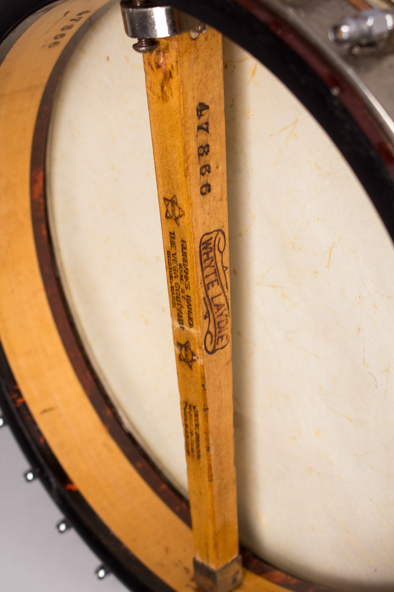 Vega Whyte Laydie Guitar Banjo (1923)