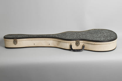 Airline Model 7227 Arch Top Hollow Body Electric Guitar (1961)