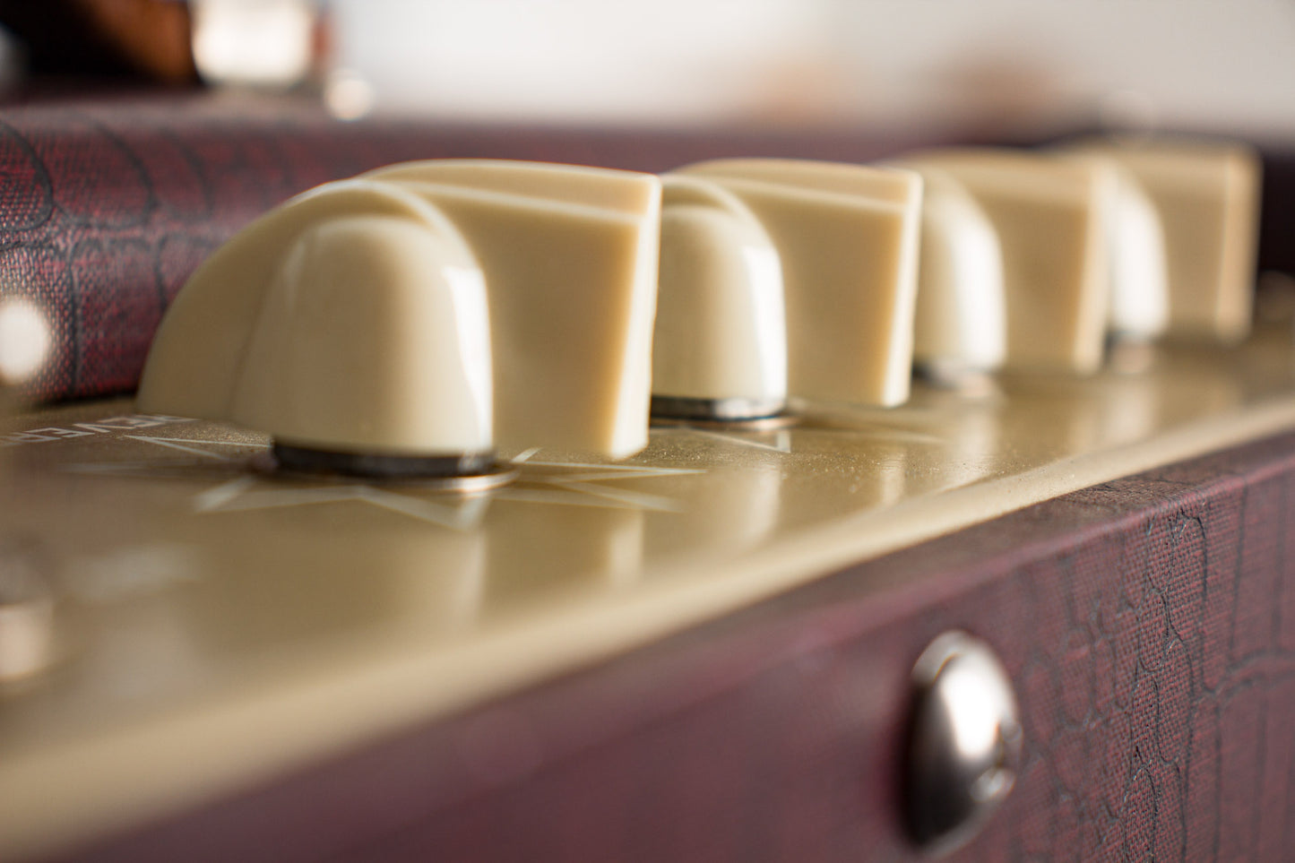 Magnatone Varsity Reverb Tube Amplifier (2013)