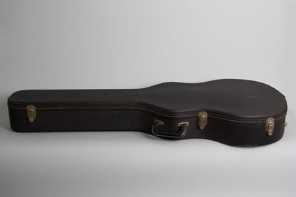 Fender Coronado XII Thinline Hollow Body Electric Guitar (1967)
